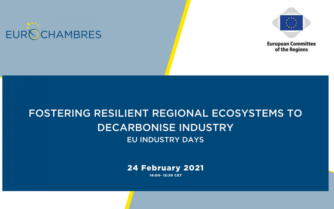 Fostering resilient regional ecosystems to decarbonise industry