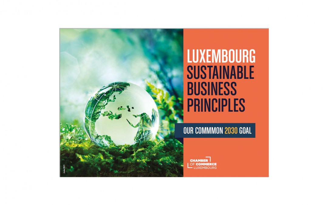 Luxembourg Sustainable Business Principles: Our Common 2030 Goal, together towards a sustainable future