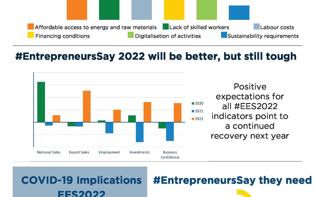 Eurochambres Economic Survey 2022 Infographic