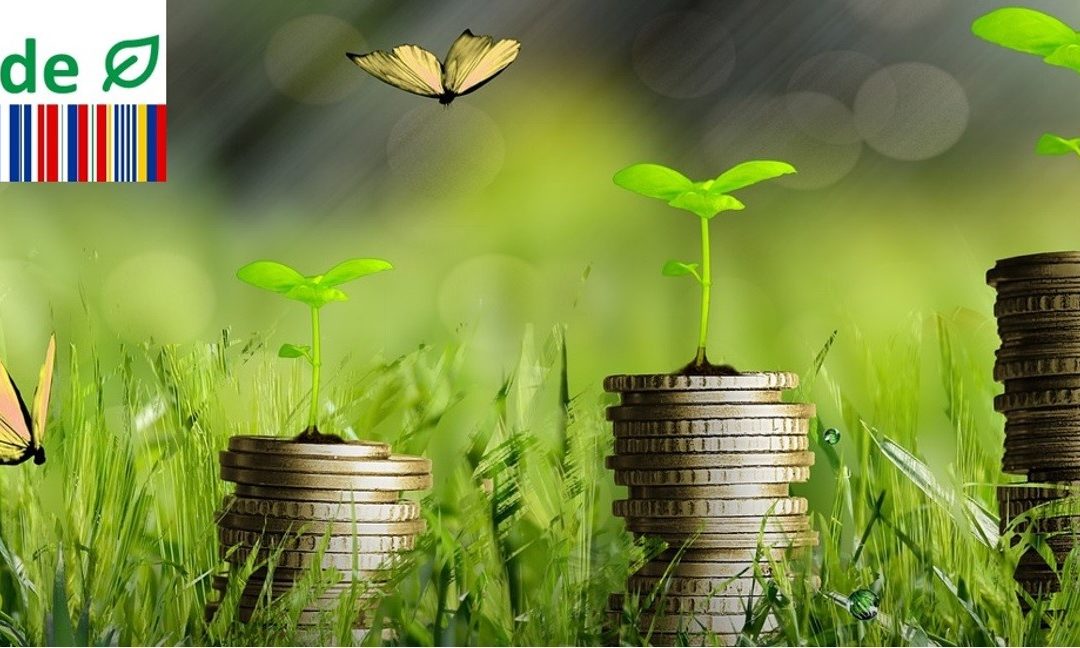 AL-INVEST Verde information session
