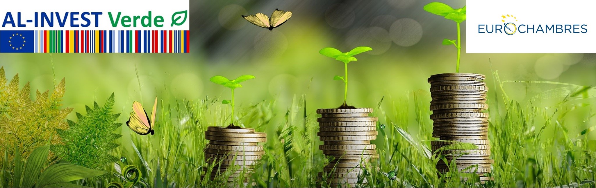 AL-INVEST Verde information session