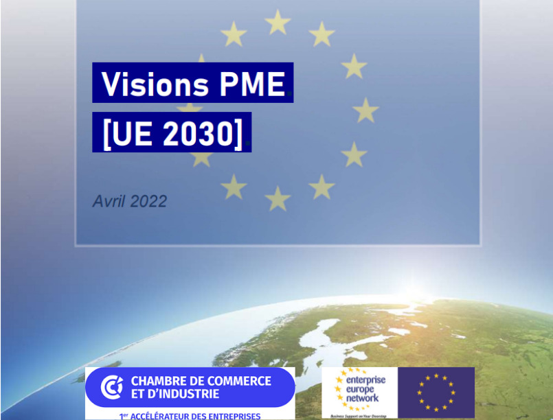 SME Visions [EU 2030] forward-looking process