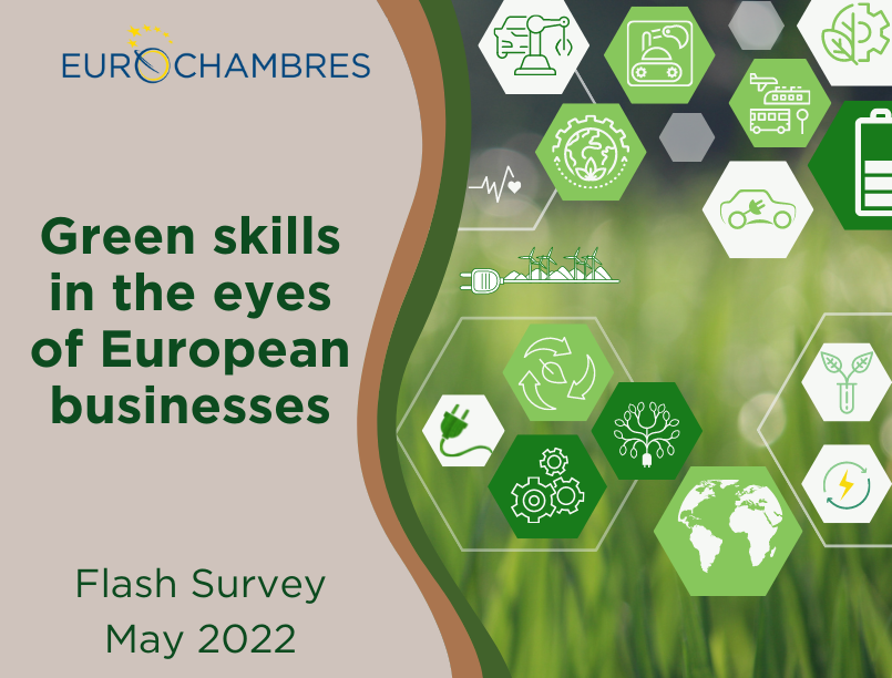 Eurochambres flash survey: Green skills in the eyes of European businesses