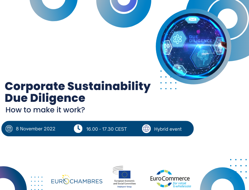 Corporate Sustainability Due Diligence: How to make it work? – November 2022
