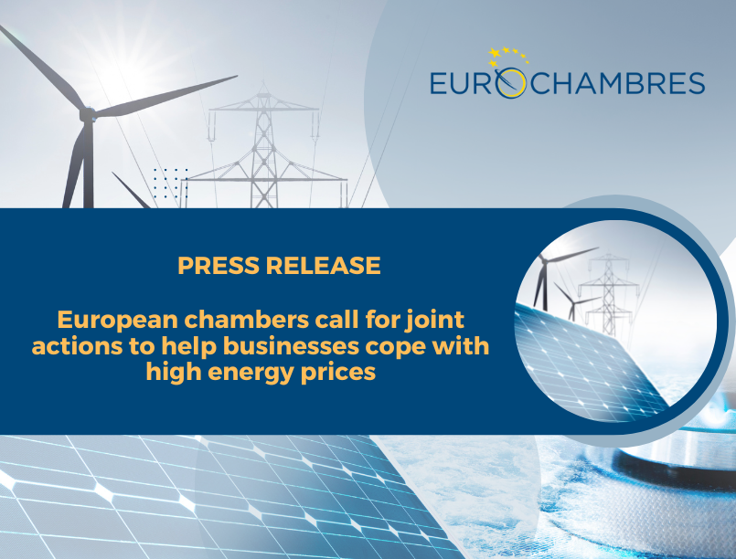 European chambers call for joint actions to help businesses cope with high energy prices