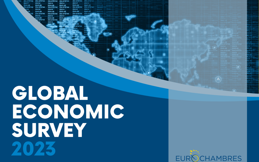 Global Economic Survey 2023 (GES2023) – Report