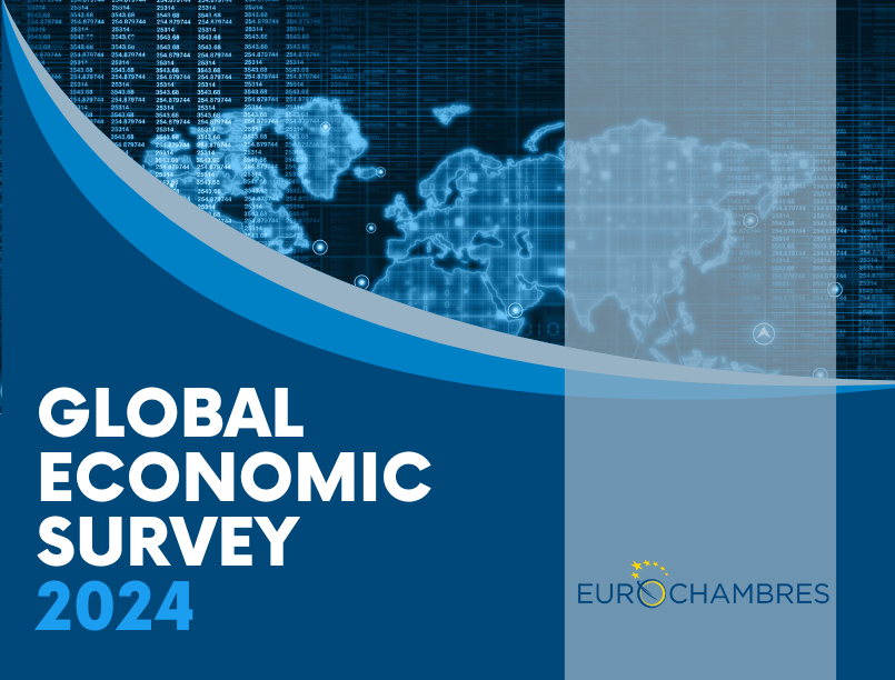 Global Economic Survey 2024 (GES2024) – Report