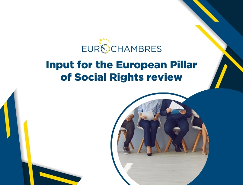 Input for the European Pillar of Social Rights: review of the 2021 Action plan and proposals for the new one