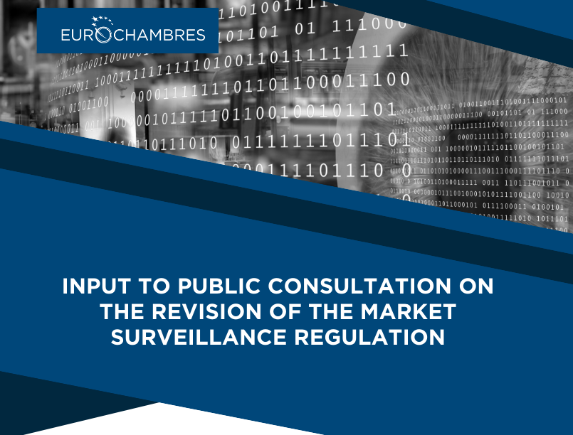 Input to public consultation on the revision of the Market Surveillance Regulation