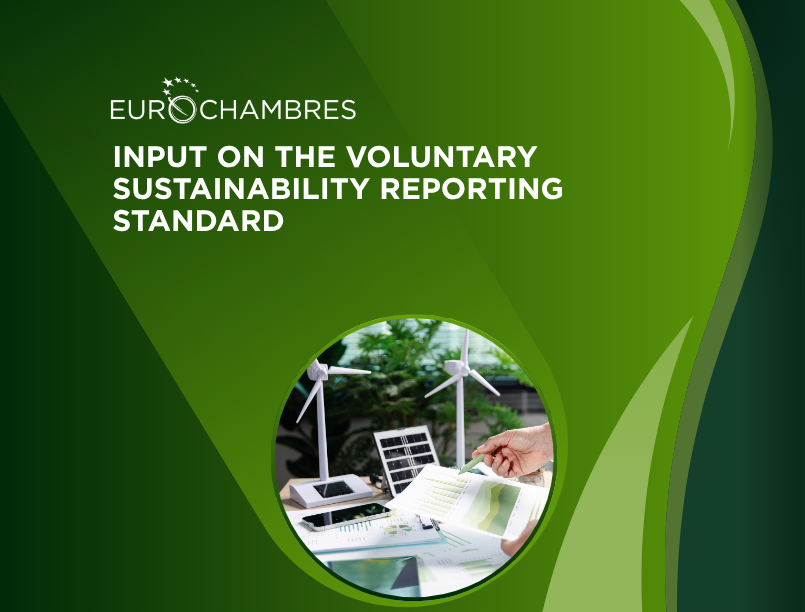 Input on the voluntary sustainability reporting standard
