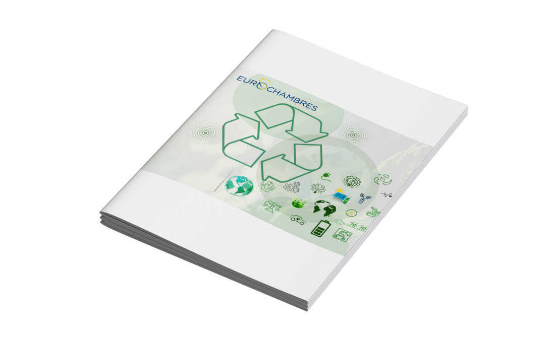 Letter on the postponement of the Packaging and Packaging Waste Regulation