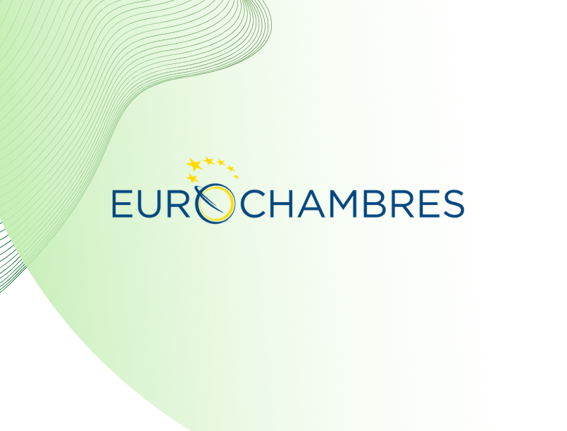 Letter to the Irish Presidency in the run-up to the 12 October Environmental Council
